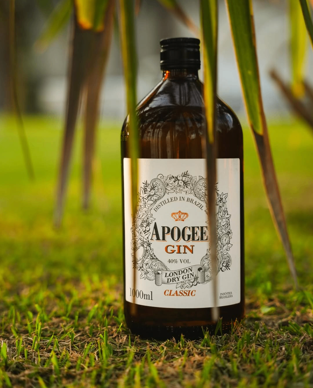 Drink Apogee 2